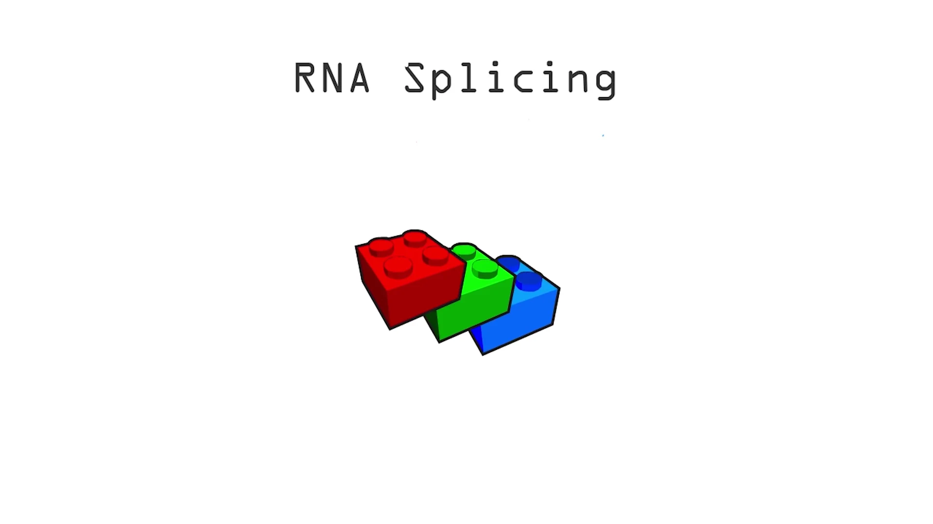 Tyler Allen’s animation uses colored building blocks to introduce different RNA and protein forms.